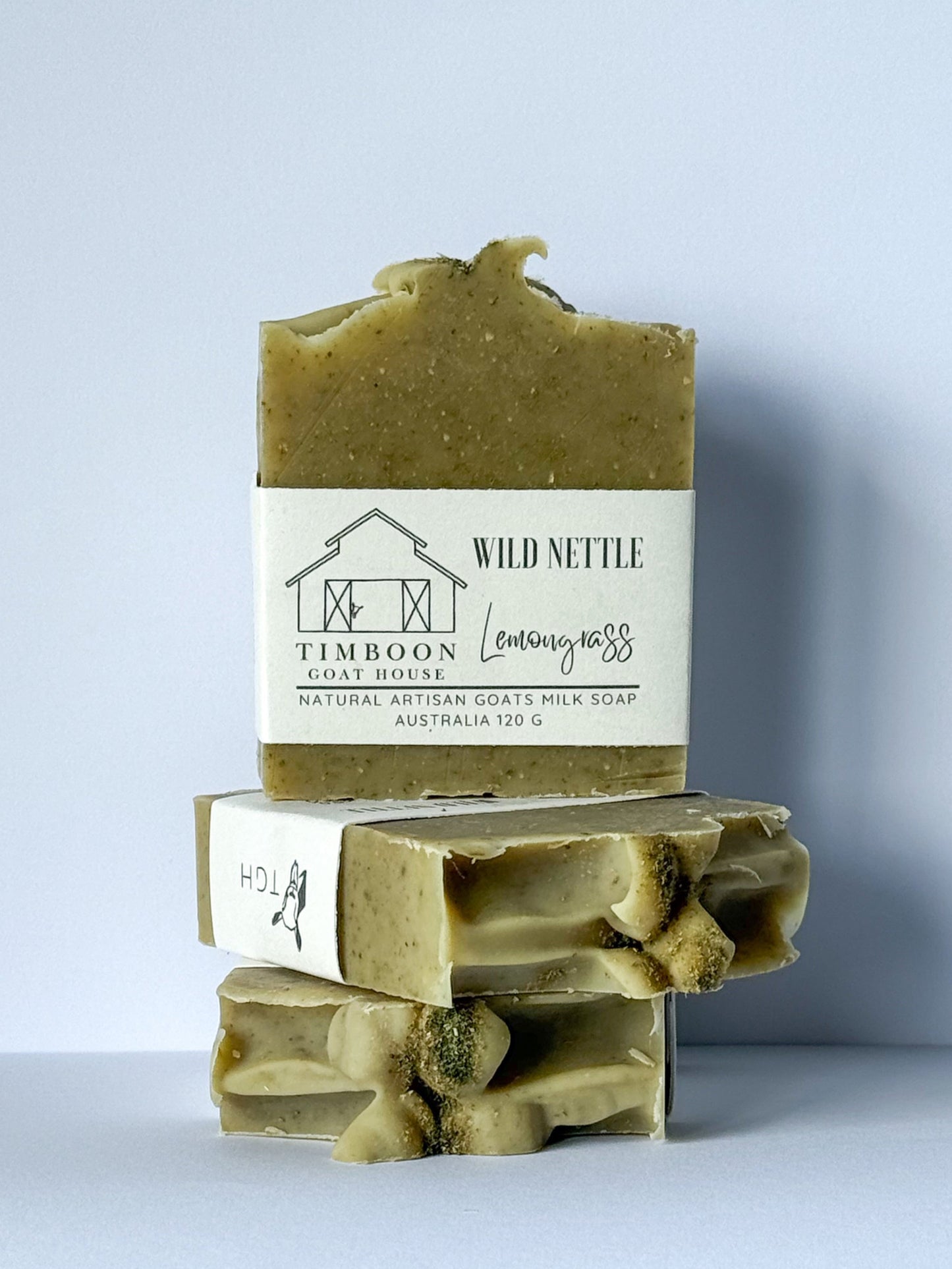 WILD NETTLE